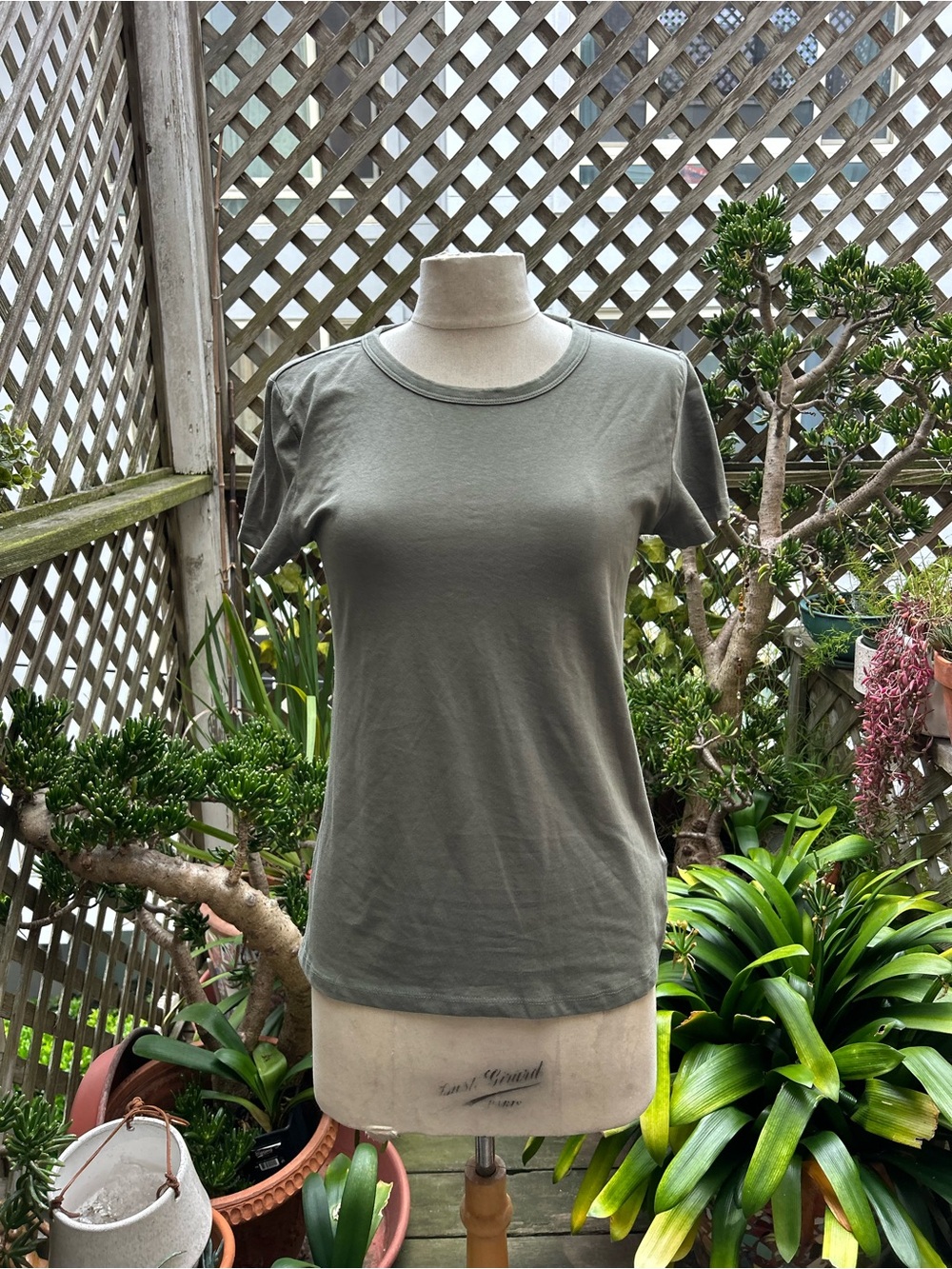 H&M Olive Crewneck Short Sleeve Tee
